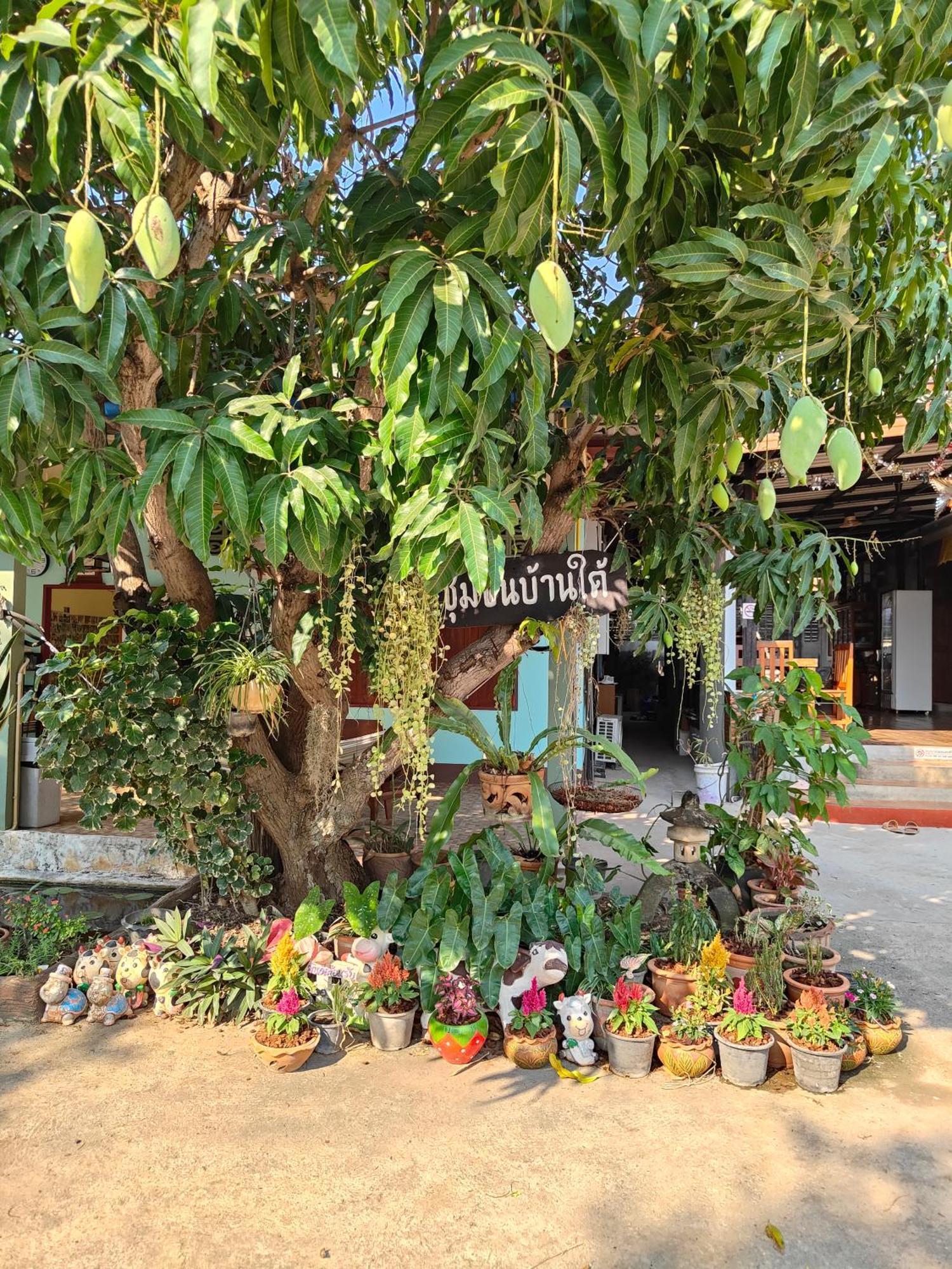 Smilingface guesthouse Sukhothaï Extérieur photo